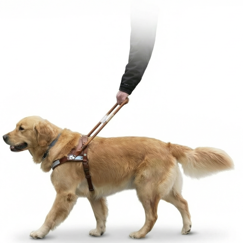 Guiding Eyes for the Blind